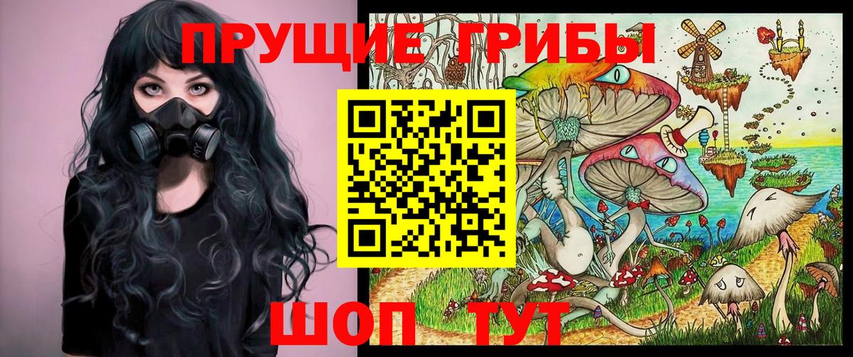 Галлюциногенные грибы ЛСД  Галлюциногенные грибы Magic Shrooms  Тамбов  наркотики  Вход с VPN 