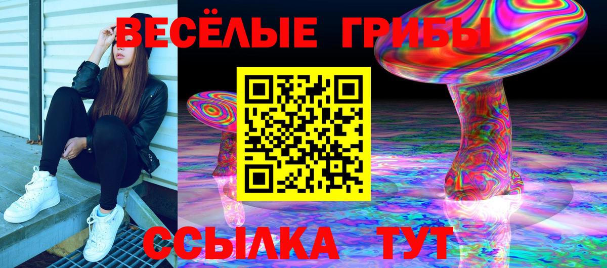 Галлюциногенные грибы мицелий Тамбов