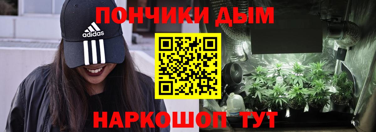 Тамбов  Каннабис тримм  Бошки Шишки план  Вход с VPN  Бошки Шишки конопля 